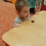 phoca_thumb_m_zajci a vtr 30 Fotogalerie